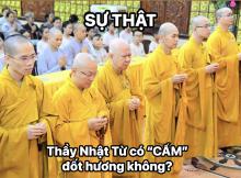 Nên hiểu như thế nào đối với nhận định "không nên đốt hương" của Thầy Nhật Từ