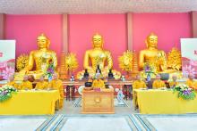 Khai mạc khóa tu Xuất gia báo hiếu lần 2