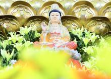 Ngàn năm diệu pháp mây bay