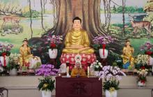 Pháp thoại Hạnh phúc thế gian và xuất thế gian